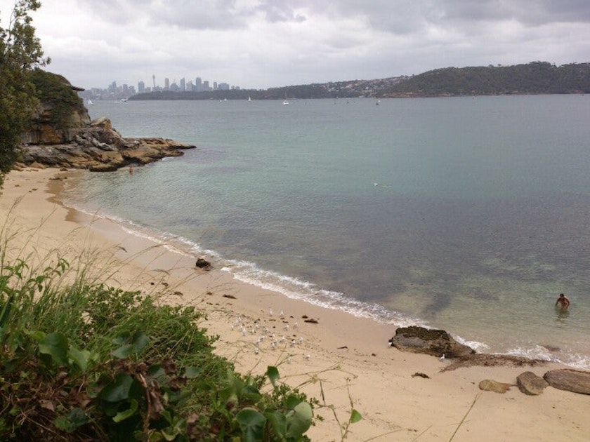 Lady Jane Beach Photos GayCities Sydney